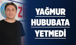 YAĞMUR HUBUBATA YETMEDİ
