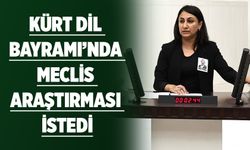 KÜRT DİL BAYRAMI’NDA MECLİS ARAŞTIRMASI İSTEDİ