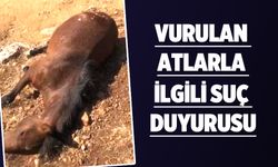 Batman Barosu harekete geçti