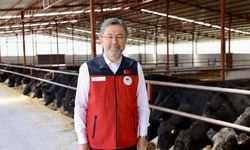 Kurban Bayramı’nda 830 Bin Büyükbaş, 2,5 Milyon Küçükbaş Kesildi