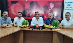 Yaşanan yüzde 65 verim kaybı kiraz, kayısı ve erikte fiyatları etkiledi