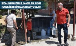 TEMİZ SU KUYRUĞU