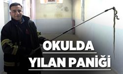OKULDA YILAN PANİĞİ