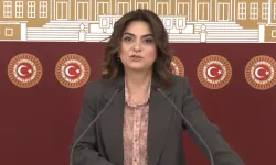 DEM Parti'nin komisyon üyeleri belli oldu