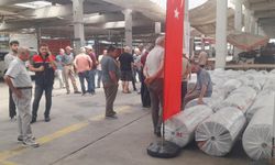 Fındık üreticilerine yüzde elli bedelle hasat filesi desteği