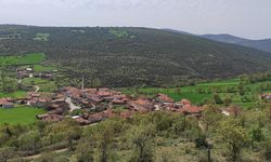 Kepsut'ta 2 milyon metrekarelik alanda altın aranacak