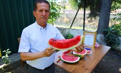 Sosyal medyadaki karpuz tartışmalarına Adana'dan cevap