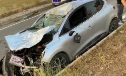 Otomobil ineğe çarptı, 1 kişi yaralandı