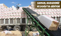 GÜNDE 500 TON SAMAN SATIŞI