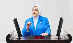"Vahşi madencilik kar dışında hiçbir değeri tanımıyor"