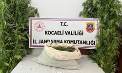 Evini uyuşturucu serasına çevirdi