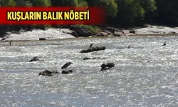 KUŞLAR İÇİN AVLANMA ZAMANI