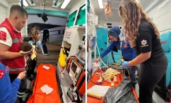 Solunum yetmezliği yaşayan bebek ambulans uçakla Ankara’ya sevk edildi