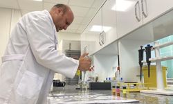 Beyin kanseri tedavisinde yerli ve etkili nano molekül geliştirildi