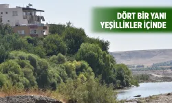 BATMAN’IN KARADENİZ’İ