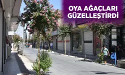 İLK CADDE RENK CÜMBÜŞÜ GİBİ