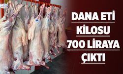 DANA ETİ KİLOSU 700 LİRAYA ÇIKTI