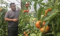 Baba mesleğini bıraktı, 25 yıldır toprağa emek veriyor