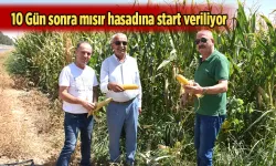 ÇİFTÇİ, TMO’DAN FİYAT BEKLİYOR
