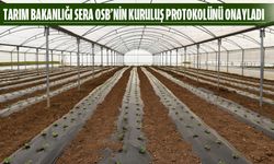 “Batman seracılıkta bölgenin yıldızı olacak”