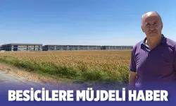 Saman fiyatları yarı yarıya geriledi
