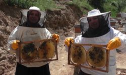 Gelin-görümcenin arıcılık başarısı: 5 kovandan 100 kovana ulaştılar