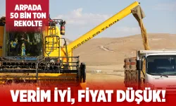 Batman Ovası’nda arpa hasadı başladı
