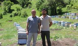 Bu yıl bal üretiminde rekor bekleniyor
