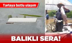 BALIKLI SERA!