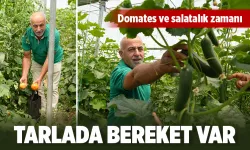 TARLADA BEREKET VAR