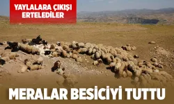 Besiciler sıcağa rağmen bölgeyi terk etmedi