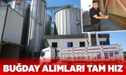 TMO, 16 noktada buğday alımlarını sürdürüyor