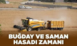 Batman Ovası’nda biçerdöverler tarlada