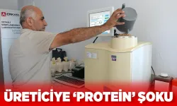 Buğdayda protein düşünce fiyatlar geriledi