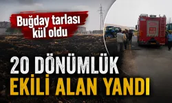 20 DÖNÜMLÜK EKİLİ ALAN YANDI