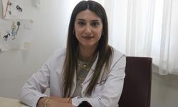 Sigarayı bırakmak isteyenler bu polikliniklere geliyor