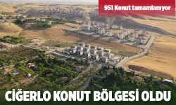 CİĞERLO KONUT BÖLGESİ OLDU