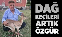 50 Yıl aradan sonra Batıraman’da dağ keçisini gördü