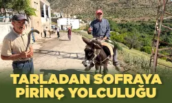 Batman’da coğrafi işaret alan ilk ürün olmuştu