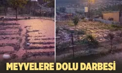 Dolu yağışı, çiftçinin hesabını bozdu