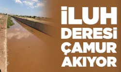 Tarla suları, derenin rengini değiştirdi