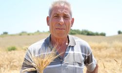 Adana'da ata tohumu karakılçık buğdayı yeniden üretime kazandırıldı