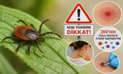 Kene tehdidine dikkat: 200'den fazla hastalık etkeni taşıyabiliyor