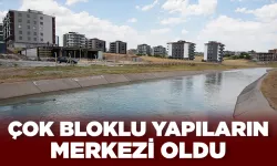 Üç ay öncesine kadar besi çiftliklerinin yeriydi