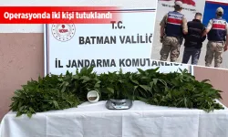 JANDARMA’DAN ZEHİR TACİRLERİNE DARBE