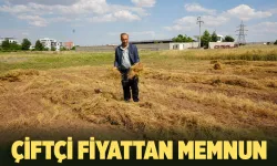Batman'da mercimek hasadı başladı