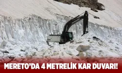 Yaz ortasında 2 Bin 973 metrede karla mücadele
