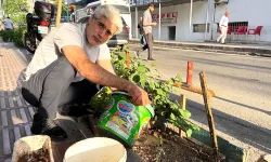 Kaldırımları yeşil tutan kuaför