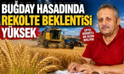 Ziraat Odası Başkanı Aydiş, verimin iyi gözüktüğünü söyledi