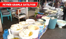 PEYNİR FİYATLARI YÜKSELİŞTE